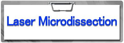 Laser Microdissection 